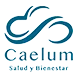 Caelumsb
